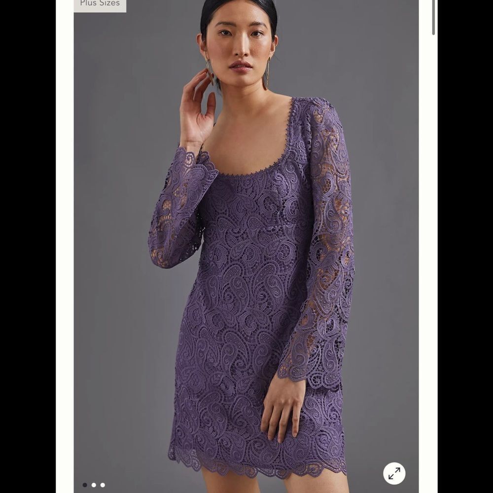 Anthropologie Embroidered Lace Mini Dress